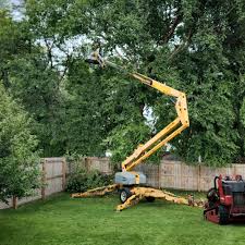 Best Lawn Watering Services  in Marshallton, PA