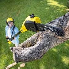 Best Seasonal Cleanup (Spring/Fall)  in Marshallton, PA